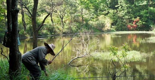 钓了这么多年鱼,才知春钓“好天气”竟在此时,怪不得我总不上鱼