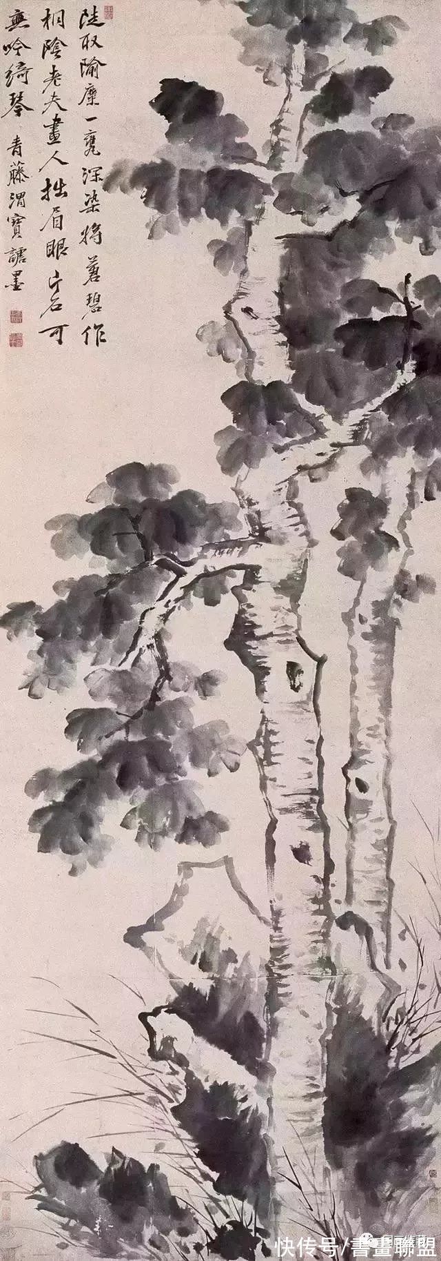 花鸟画$写意鼻祖:花鸟画——徐渭