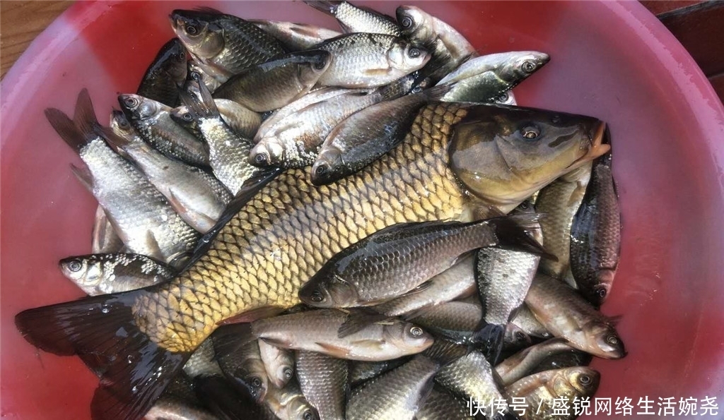 春季外出钓鱼,这3种天气别错过,把握好了让你渔获翻倍