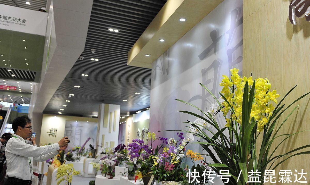 养兰花、君子兰你还施肥吗在土里加它，比肥料长得还好