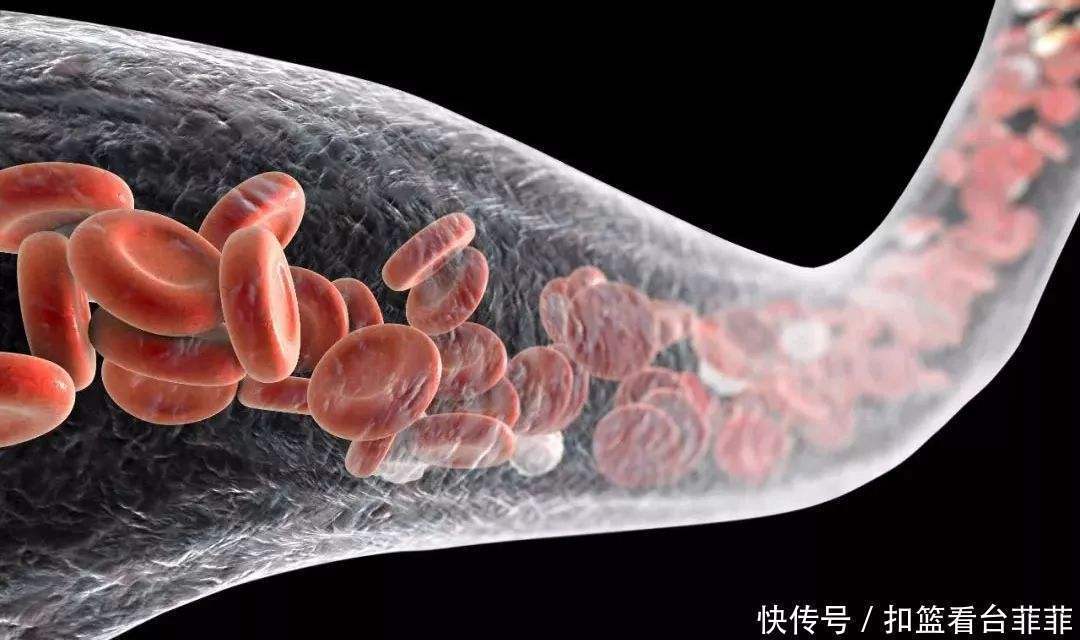 神经元|心血管大夫:降血脂很简单,1种“零食”紧着吃,血管通畅人精神