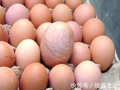 蛋白质含量|鸡蛋和此物一起吃,头发黑,肾好了,睡眠也好了,早知道早好