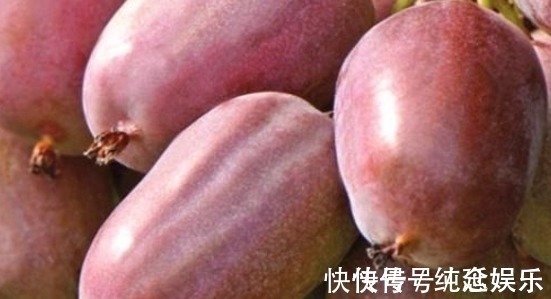 红枣|女性过了45,衰老加快,要多吃此物,益气补血,皮肤白泽透亮