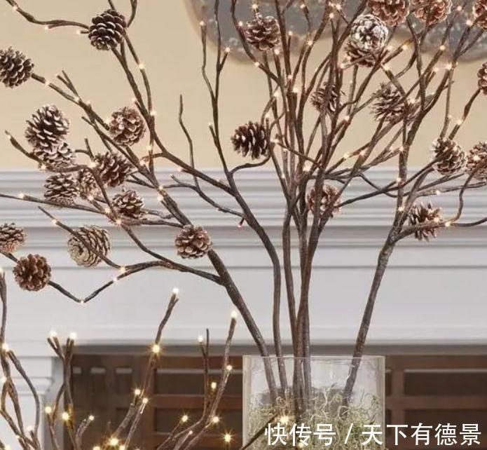 松塔养花的好处以及注意事项