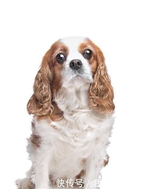 |开心一刻笑话:同事一大姐,把自家上一年级的小萝莉带到公司