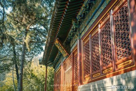 万物|在潭柘寺与古朴肃穆相遇