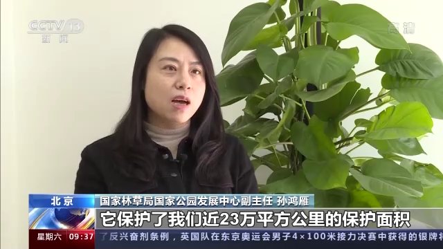 国家公园|保护30%全国陆域野生动植物种类！首批国家公园生态保护取得新进展