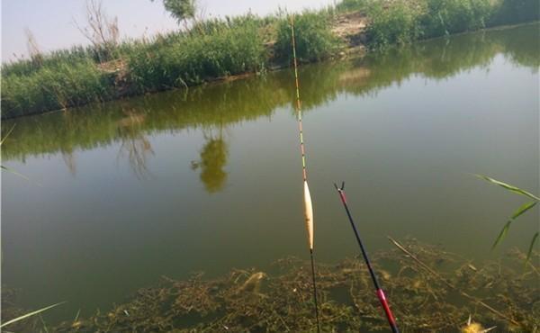 浮漂的形状不同,有不同的用途!经验来看,有这样几支基本够用了
