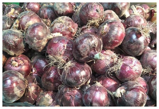 保存洋葱有妙招,学会1招,洋葱放1年不变坏,随时都新鲜