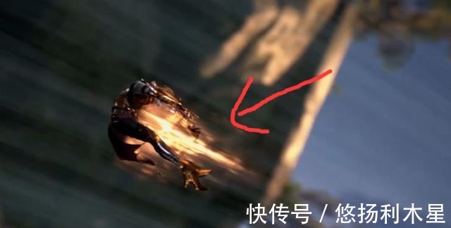 狂虐|斗罗大陆鬼斗罗压制泰坦巨猿,菊斗罗被狂虐,唐三公主抱小舞!