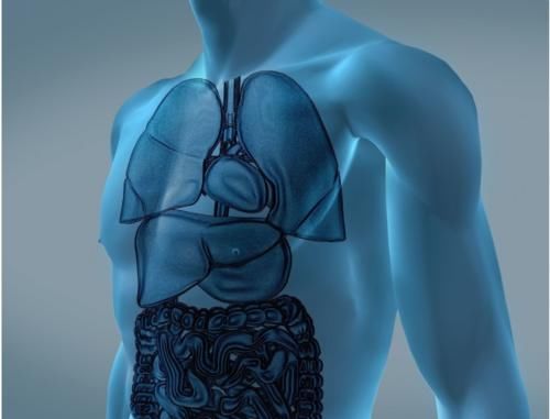 元气|通元气，运水谷，行水液，这么重要的三焦不通怎么办？