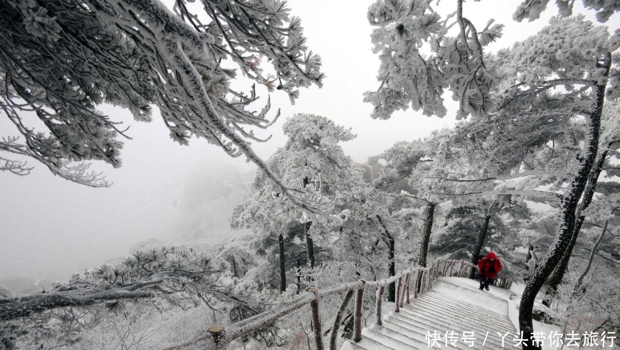 走，到天柱山滑雪去