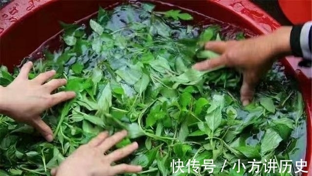 排骨|农村有种野菜,闻着臭吃着香,清热解毒还降火
