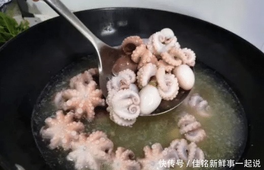 不动|为什么八爪鱼太硬咬不动老板不是鱼的问题,是你的做法错啦!