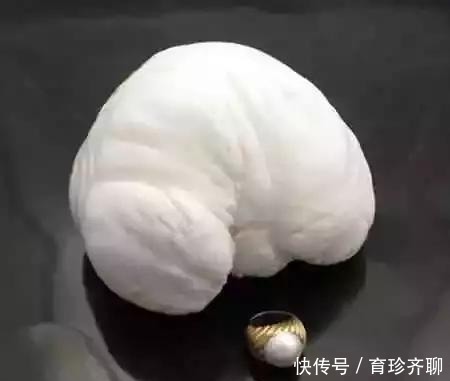 美乐珠|一颗珍珠卖上亿,世界上最负盛名的5件珍珠,长什么样?什么价?