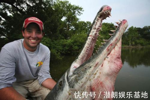 掠食者|佛山钓鱼人,河里钓获半米长尖嘴鱼,这鱼已成广东江河大害
