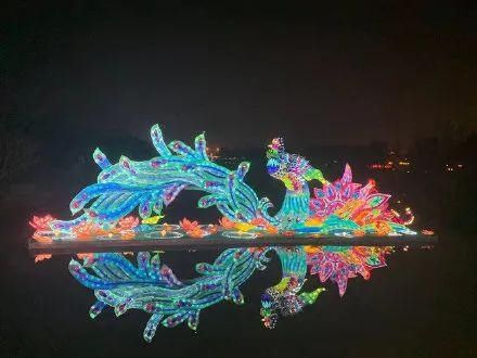 洗肺|美得不可方物!夜荆州......