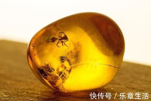 山海经|有一味中药李时珍说是虎之精魄,能养心安神调失眠,还能活血通经