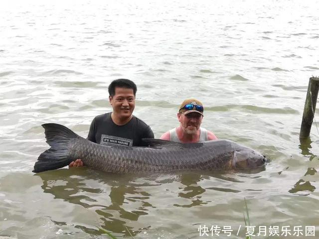 钓到大鱼后拍完照就放生,是假装高尚?真实情况是这样的