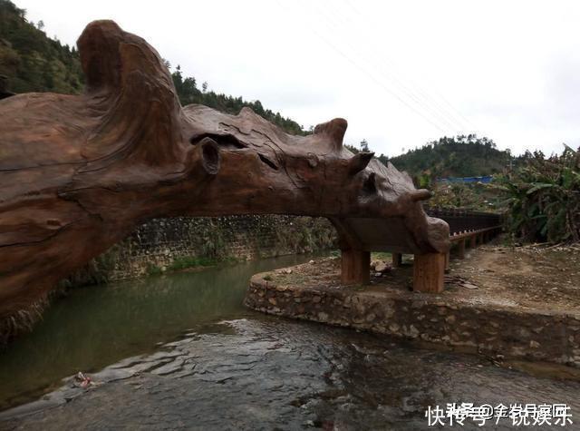 广东南雄角湾村有段古:大黄牛单挑华南虎,赢!!!