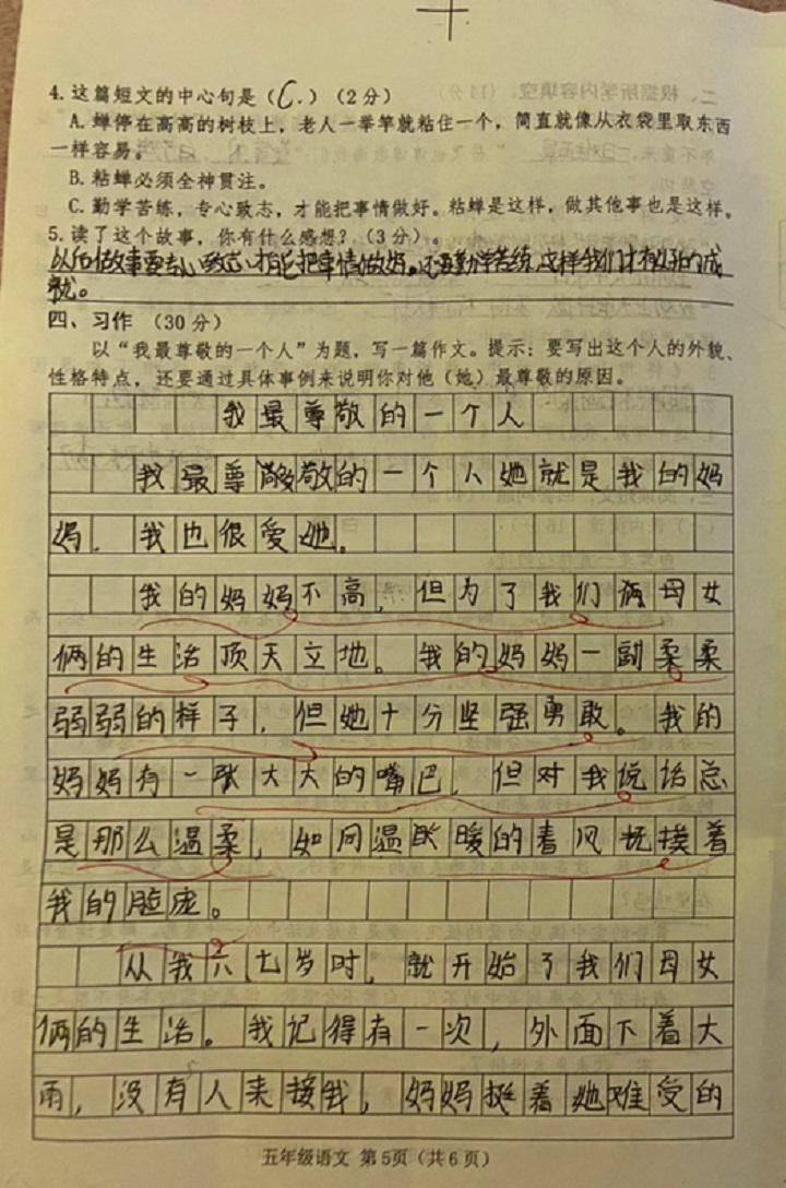 感动|小学生期中考试作文，不仅感动了老师，还感动了妈妈