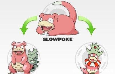 口袋妖怪|口袋妖怪盘点6只拥有两种进化形态的精灵,最后一只能毁天灭地