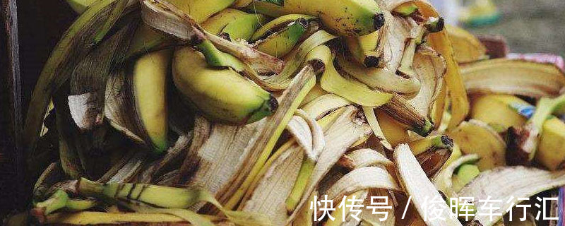 香蕉皮,天然钾肥,用对方法养花,有营养、能驱虫、清洁叶子