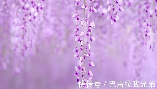 前任|初入八月,感情被骗,前任回头,不敢当真,旧情难再生