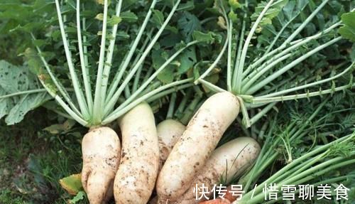 秘诀|400多名百岁老寿星：6个长寿“秘诀”很明显！大家都能做到