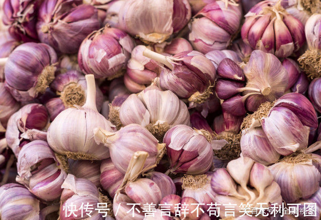 原来保存大蒜这么简单,教您一招,1年不干瘪发芽,不怕蒜涨价了