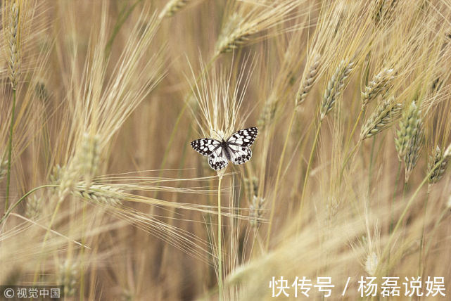 少吃点|妇科院士提醒子宫不好的女生，平时4种素食少吃点，宫颈会感激