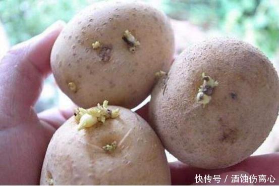 73岁老奶奶，从重度肝硬化到肝功正常，半年只用了1个诀窍