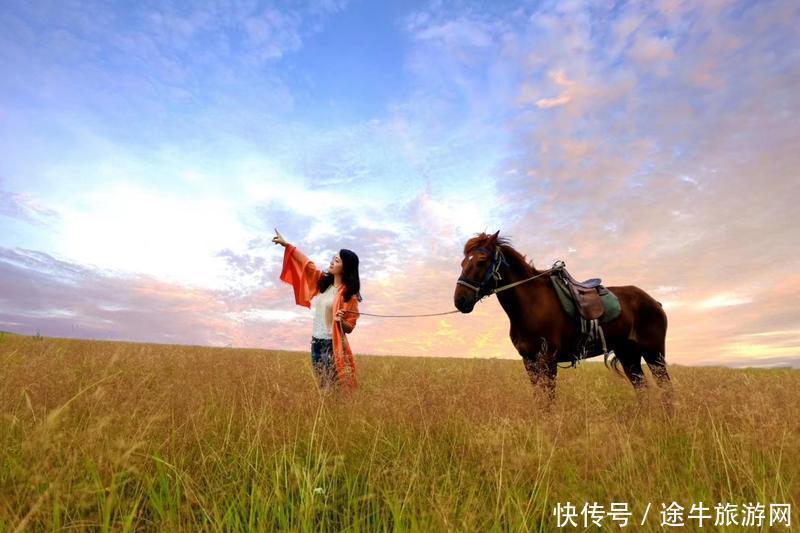 美丽的锡林郭勒大草原，最纯正的蒙元文化，最原始的游牧牧场