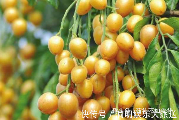 化痰平喘|天然的“止咳药”找到了,每天一碗,化痰平喘,比吃止咳药还好!