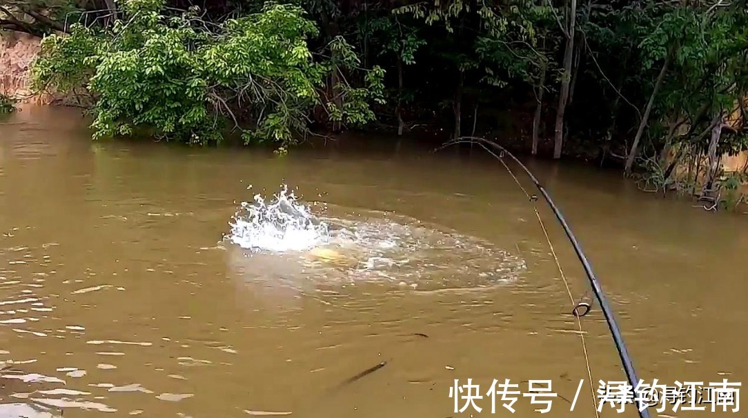 诀窍|秋季钓鱼,如何快速找到鱼儿的位置?这5个选钓点的诀窍,特管用