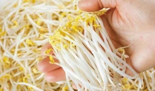 2021年最新高嘌呤食物名單公布，雞精排第3，榜首多半人在吃