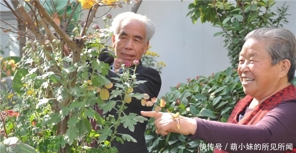 杞县农家小院乐淘淘