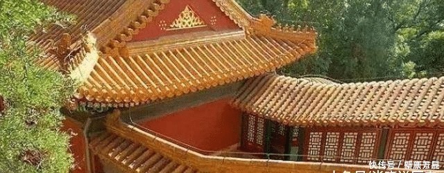 为什么600年来故宫的屋顶上没有鸟粪?不得不佩服古人的智慧!