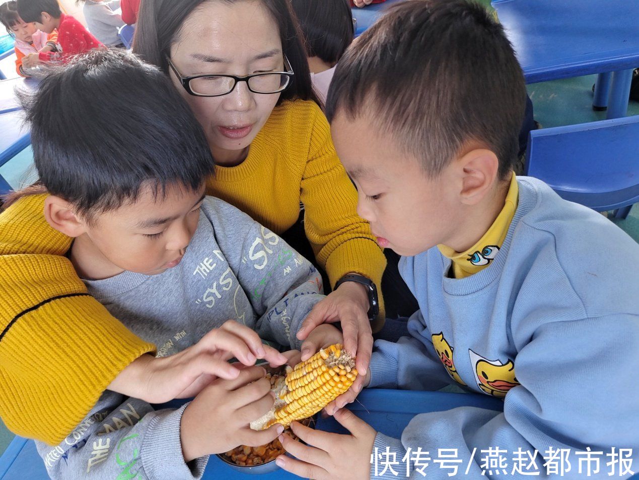 附属|河间市曙光小学附属幼儿园：五谷杂粮拼贴出萌萌画作