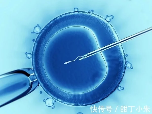 上海第三代试管排名（试管婴儿技术的安全性）