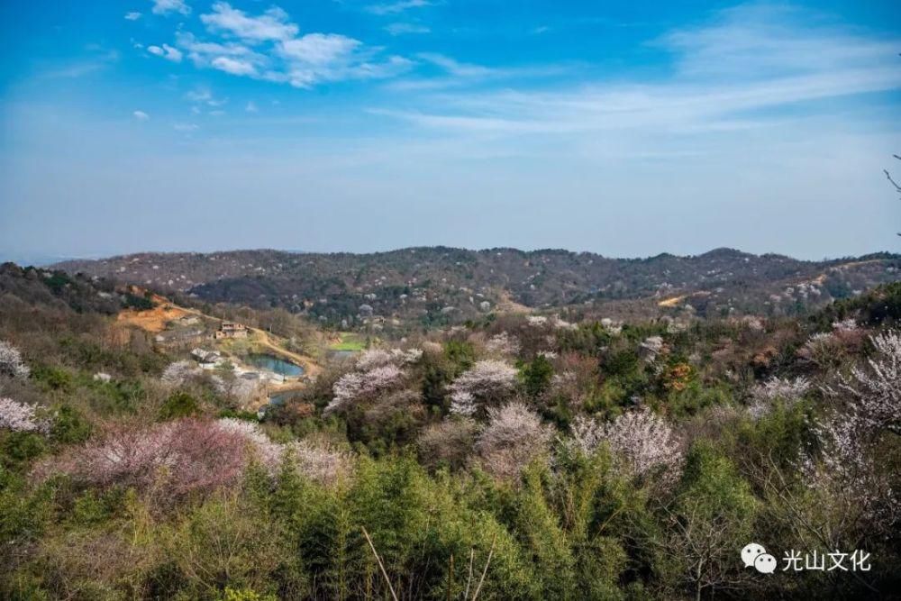 登上央视！信阳这片“仙境”，你去了吗？