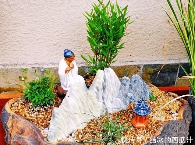 盘子|用石头盘子来养花,变成小盆景,价值能翻好几倍