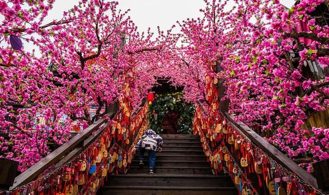 同心$新年祈福诗词12首:求签我也枝头挂，买个平安寄未来