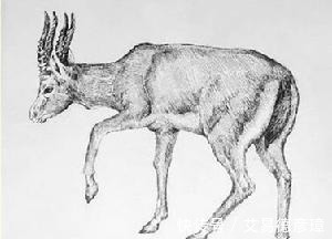 无支祁#《山海经》中预示大灾的八大妖怪,第四跟孙悟空齐名