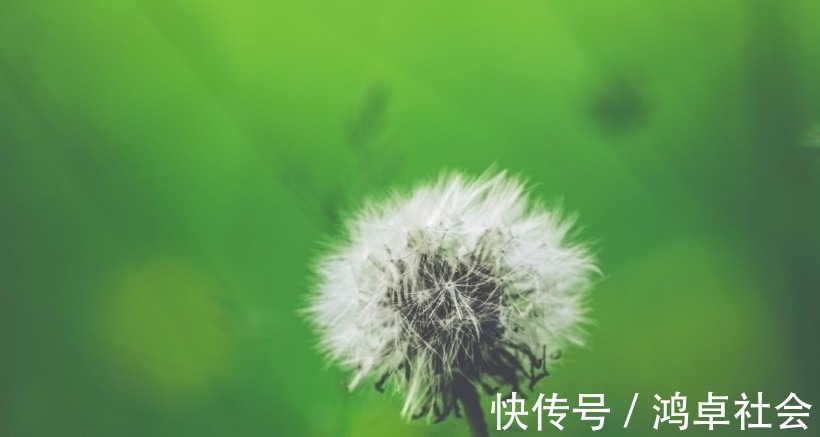 生肖|下周，缘分与桃花永不服输，收获爱情，余生美满的4大生肖！