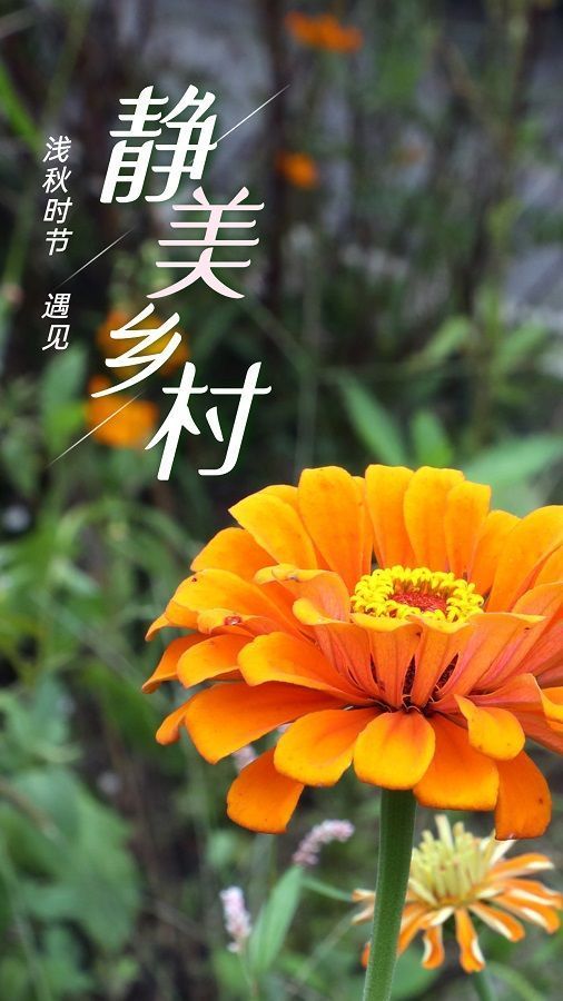 浅秋|浅秋时节 遇见静美乡村