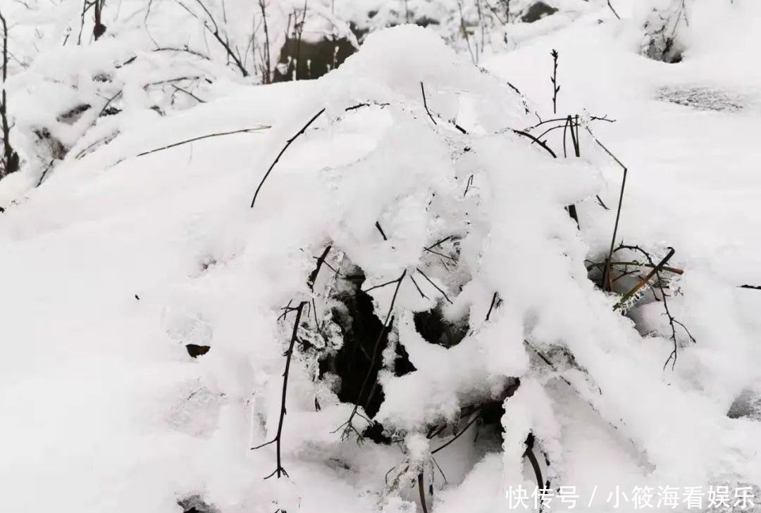 玩雪|绵阳最近的玩雪地，北川擂禹路“ 数千人”玩雪！