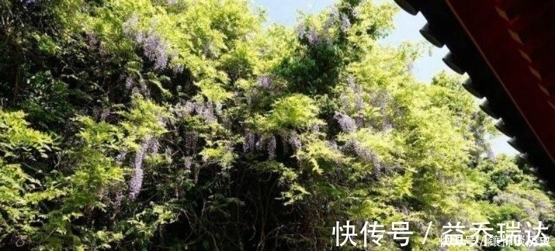 秋月&朱熹这首诗被严重低估了,第一句就令人惊艳,最后两句更是经典