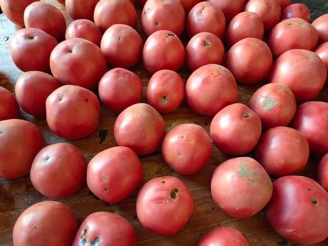 勺子|秋天应该多囤的碱性蔬菜，放到冬天都不坏，老一辈的做法真不错