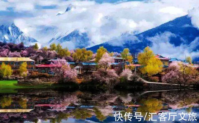 桃花|2022年的春天，期待一场林芝桃花与蓝冰的邂逅